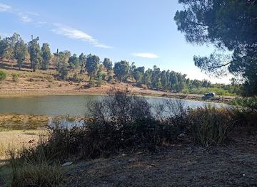 algeria/constantine/sidi-m-cid/attraction/djebel-el-wahch-forest