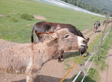 slovakia/muranska-planina-national-park/attraction/muranska-planina-op