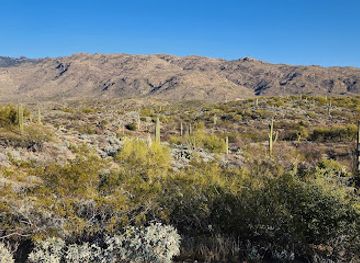 arizona/sonoran-desert/attraction/sonoran-desert-overlook