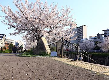 japan/harima/attraction/ikutagawa-park