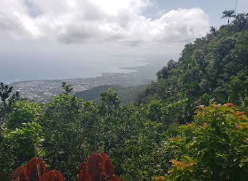dominican-republic/cibao-valley/attraction/umbrella-street