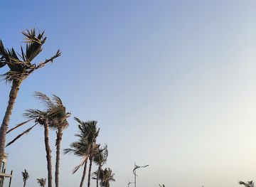 united-arab-emirates/umm-al-quwain/attraction/surfvibes-apparel