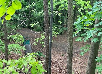 poland/sopot/attraction/aleja-gwiazd