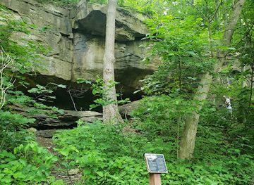 west-virginia/morgantown/attraction/core-arboretum