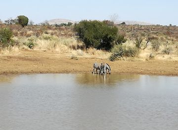 south-africa/pilanesberg-national-park/attraction/rathlogo-hide