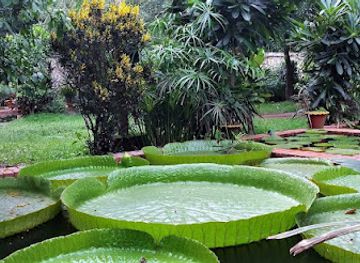 bangladesh/madhupur-tract/attraction/baldha-garden