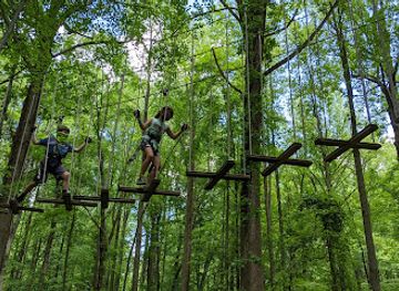 delaware/the-delmarva-central-railroad-region/attraction/go-ape-zipline-and-adventure-park