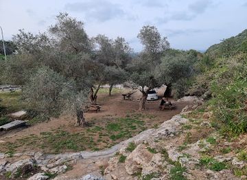 israel/zikhron-ya-akov/attraction/ein-tarmilaim