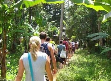 kenya/diani-beach/attraction/kaya-kinondo-nature-activities