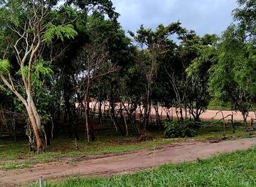 bolivia/santa-cruz-de-la-sierra/attraction/noel-kempff-mercado-national-park