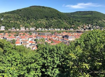 germany/heidelberg/attraction/riesenstein