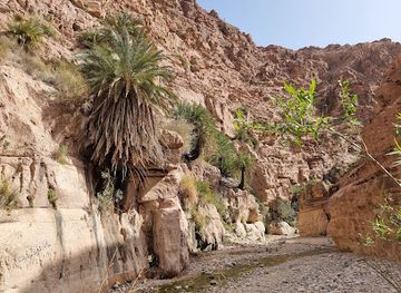 jordan/feynan-ecolodge/attraction/wadi-finan