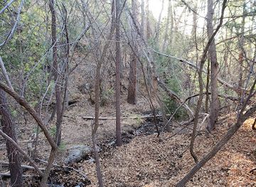 new-mexico/sandia-peak-tramway/attraction/bear-canyon-scenic-easement