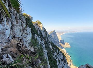 gibraltar/little-bay/attraction/gibraltar-s-forest