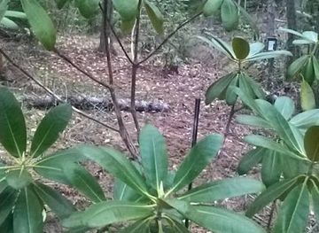 finland/kymenlaakso/attraction/hevoshaan-arboretum