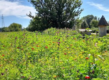 poland/bialystok/attraction/pasieka-miejska