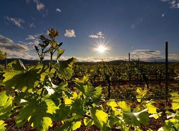 greece/crete/attraction/klados-winery