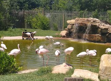 texas/abilene/attraction/abilene-zoo