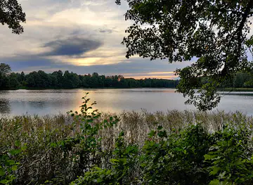 Kiidjärve park