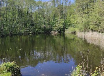 france/ile-de-france/attraction/bondy-forest