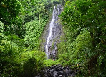 micronesia/nan-madol/attraction/sahwarlap-waterfall