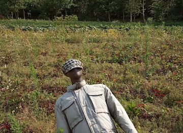 poland/holy-cross-mountains/attraction/skala-363-m-n-p-m