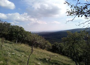 hungary/veszprem/attraction/panorama-tisztas