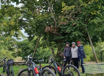 italy/irpinia/attraction/tiglio-secolare-cassano-irpino-av