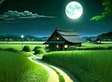 bangladesh/kuakata/attraction/west-kuakata-sunset-view-point