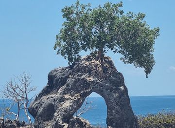 timor-leste/matebian-mountain/attraction/caibada-beach