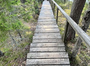 finland/north-karelia/attraction/rauanvaara-trail