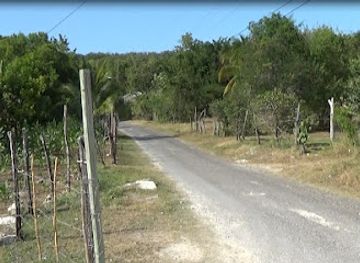 jamaica/savanna-la-mar/attraction/amber-rock-park