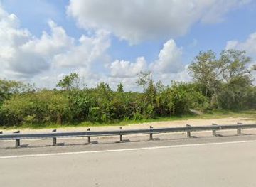 florida/fakahatchee-strand-preserve-state-park/attraction/national-wildlife-refuge-canoe-trail-4