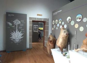 mexico/mexico-city/attraction/museo-del-pulque-y-las-pulquerias-mupyp