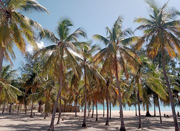 mozambique/zambezi-river-basin/attraction/praia-do-wimbe