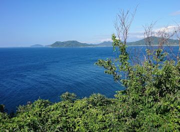 japan/chikuzen/attraction/itoshima-s-totoro-forest