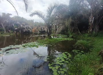 tanzania/lake-zone/attraction/vikindu-forest-reserve