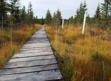 czechia/jizera-mountains/attraction/predel