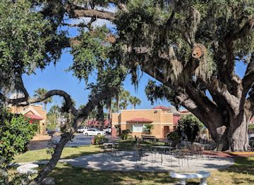 florida/first-coast/attraction/the-old-senator-tree