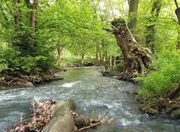hungary/borzsony-mountains/attraction/kiralyret-draisine-loop