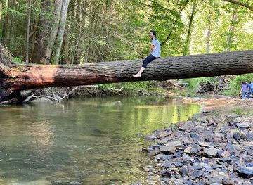 kentucky/red-river-gorge-geological-area/attraction/graining-fork-nature-preserve