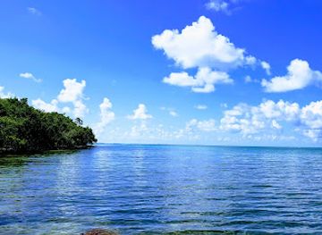 florida/florida-keys/attraction/lignumvitae-key-botanical-state-park