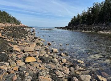 maine/bar-harbor/attraction/ship-harbor-trail-trailhead