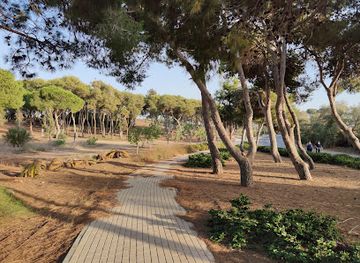 israel/hadera/attraction/birds-mosaic