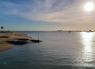 spain/cadiz/attraction/puerto-deportivo-de-sancti-petri