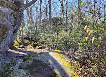pennsylvania/allegheny-national-forest/attraction/beartown-rocks