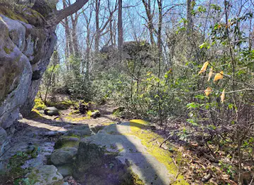 Beartown Rocks