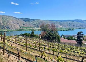 washington/richland/attraction/longship-cellars