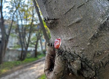 poland/sopot/attraction/maryjkale-street-art-tour