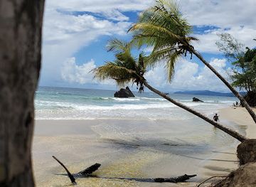 trinidad-and-tobago/mayaro/attraction/yarra-beach